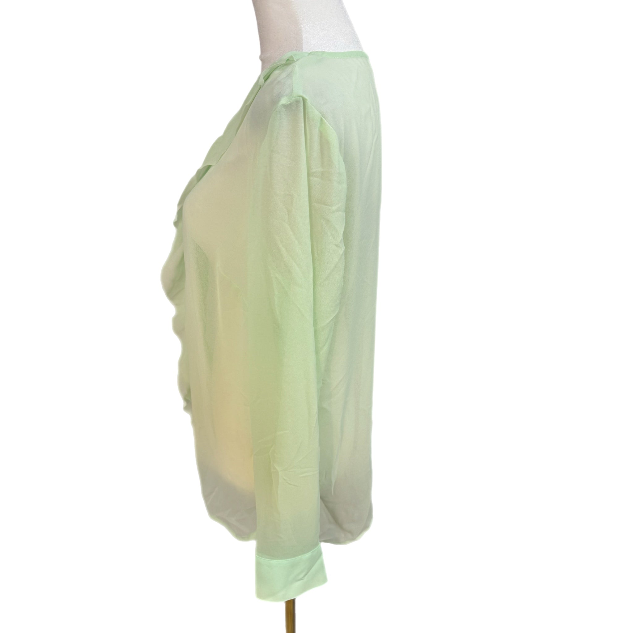 ANN TAYLOR Sheer Vintage Mint Blouse Women’s Long Sleeve Top Buttoned Up Sz MP