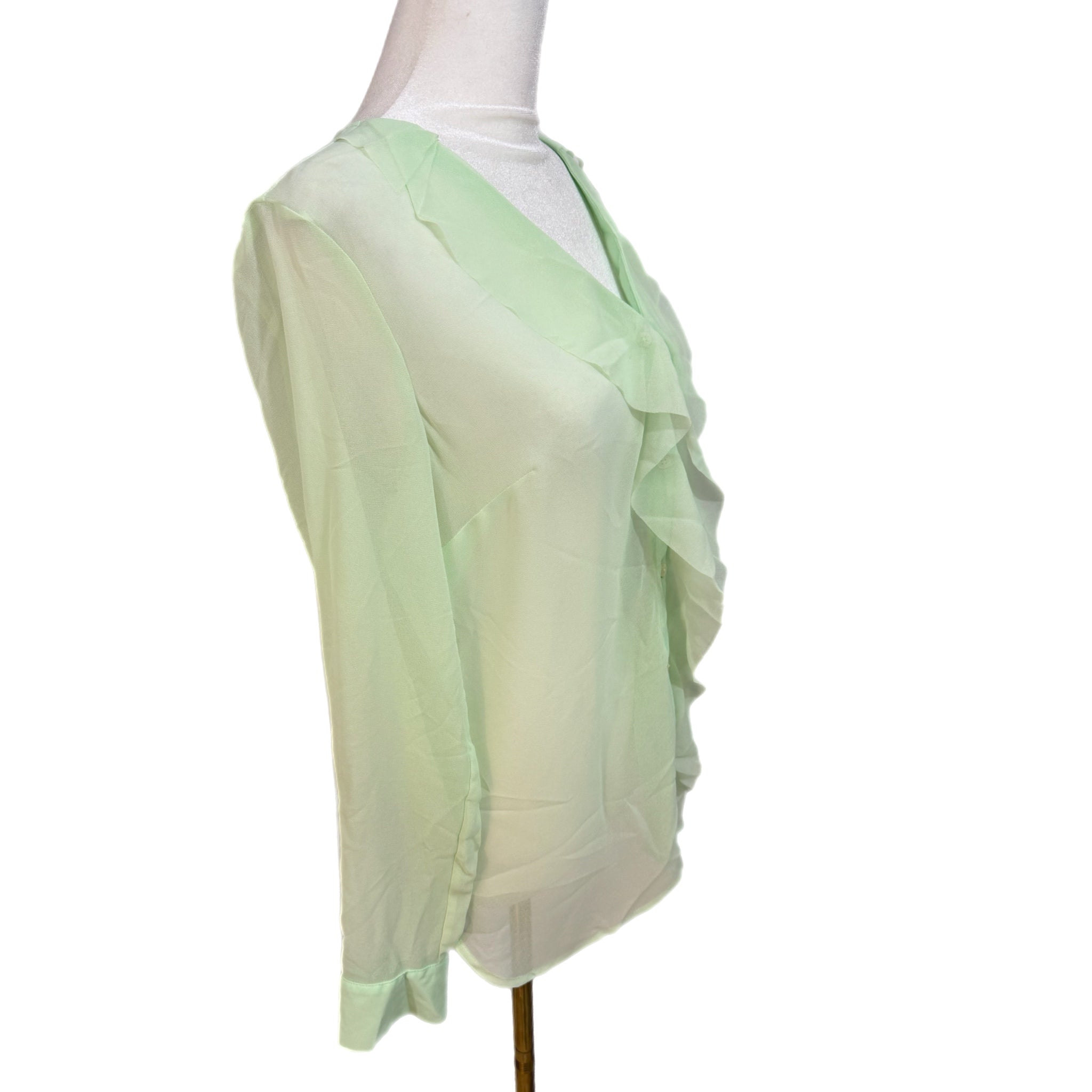 ANN TAYLOR Sheer Vintage Mint Blouse Women’s Long Sleeve Top Buttoned Up Sz MP